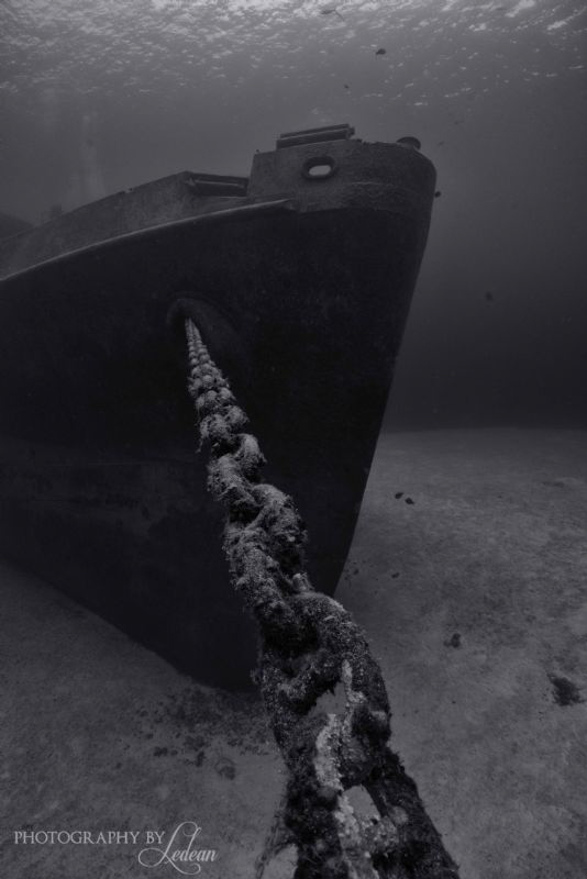 Firmly Anchored!   D800, 17mm by Ledean Paden 