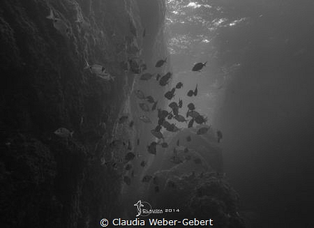 serenity......... ambient light by Claudia Weber-Gebert 