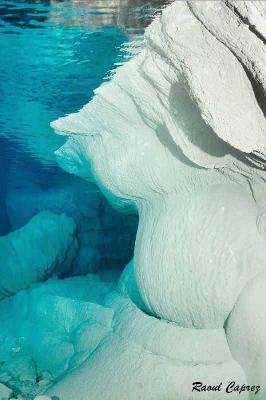 Natural sculpture by Raoul Caprez 