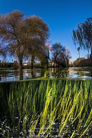 [:b:]Beauty from Italy[:/b:] by Francesco Pacienza 