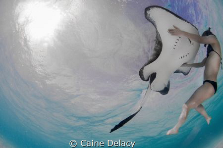A unique take on the stingray city images. Here my wife g... by Caine Delacy 
