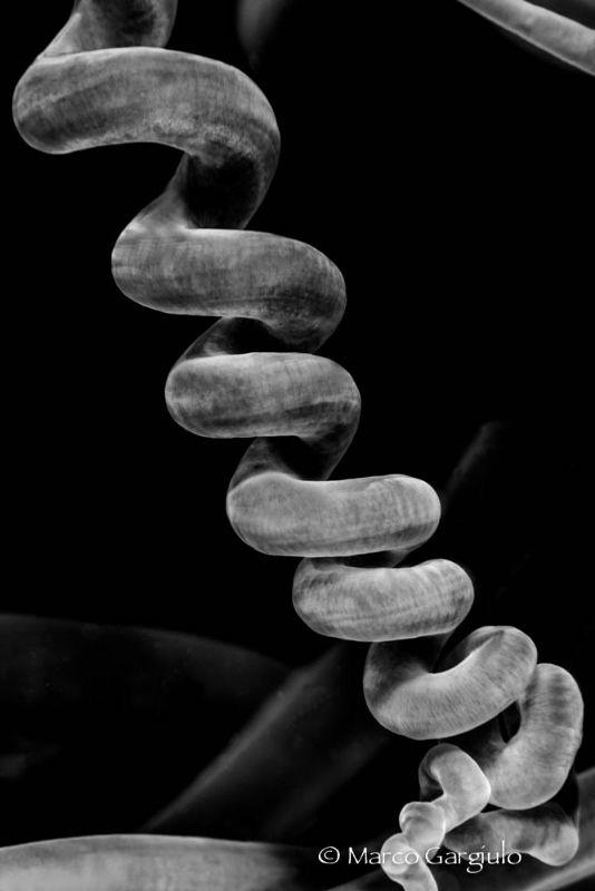 Graphic lines in BW by Marco Gargiulo 