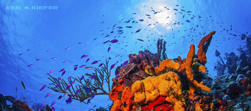 El Paso de Cedral in Cozumel by Ken Kiefer 