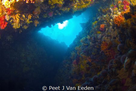 Stairway to heaven by Peet J Van Eeden 