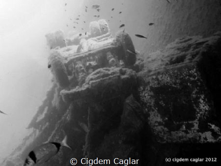 Zenobia wreck by Cigdem Caglar 