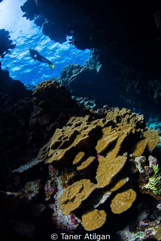 One of the entrances at Fury Shoal. Manual white balance,... by Taner Atilgan 