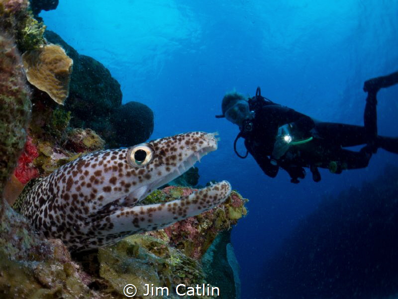 'Lunch Time' by Jim Catlin 