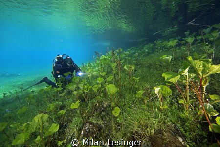 Diving with my friend. He doesn't like posing for my came... by Milan Lesinger 