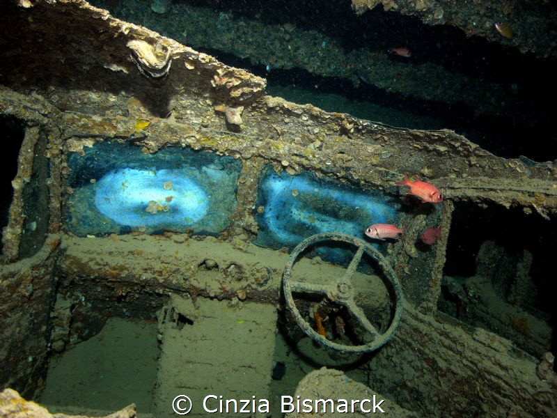 A steering wheel of Bedford truck@Thislegorm wreck - Shar... by Cinzia Bismarck 