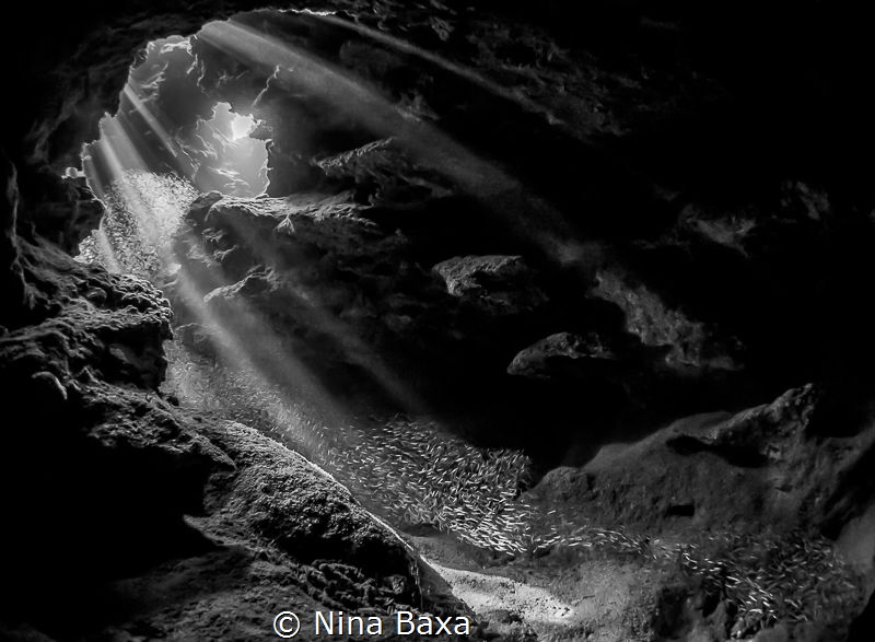 Stream. by Nina Baxa 