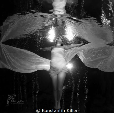 Feuerwerk der Sinne
www.killer-uwpics.de by Konstantin Killer 