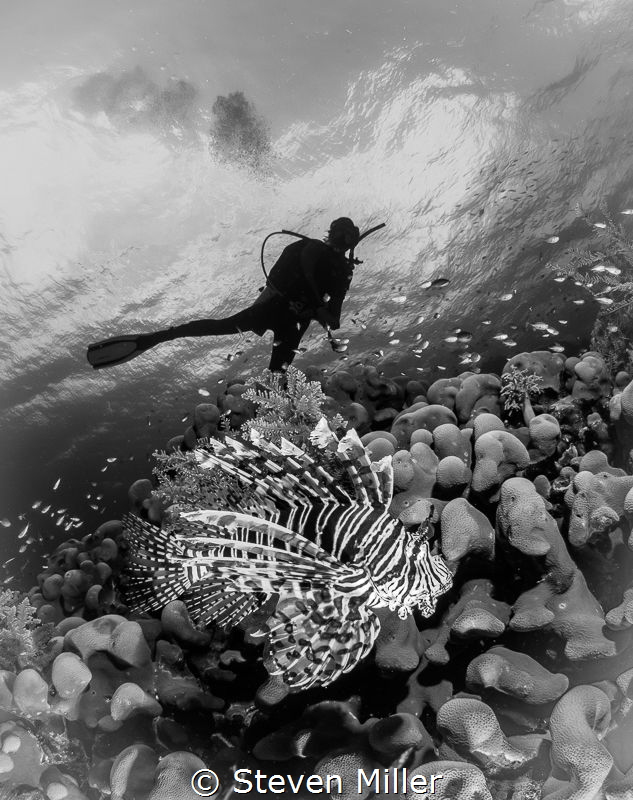 The B&W challenge by Steven Miller 