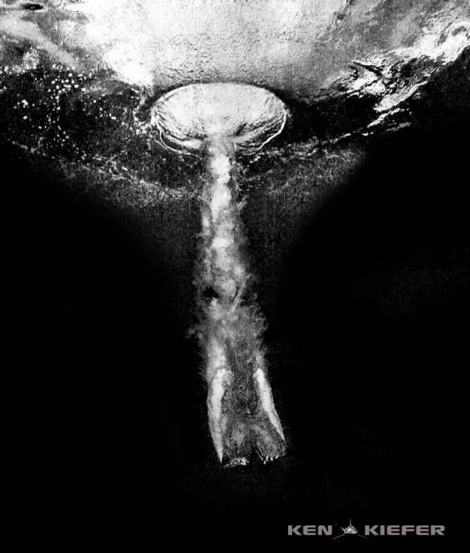 Diver entering the water from a high dive.  She hit the w... by Ken Kiefer 