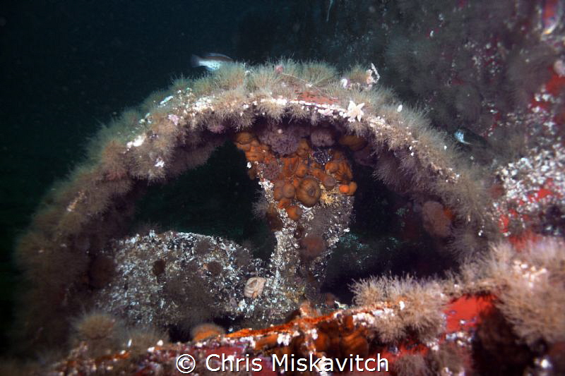 Wreck of the Patriot....Found 20miles of the coast of Mas... by Chris Miskavitch 