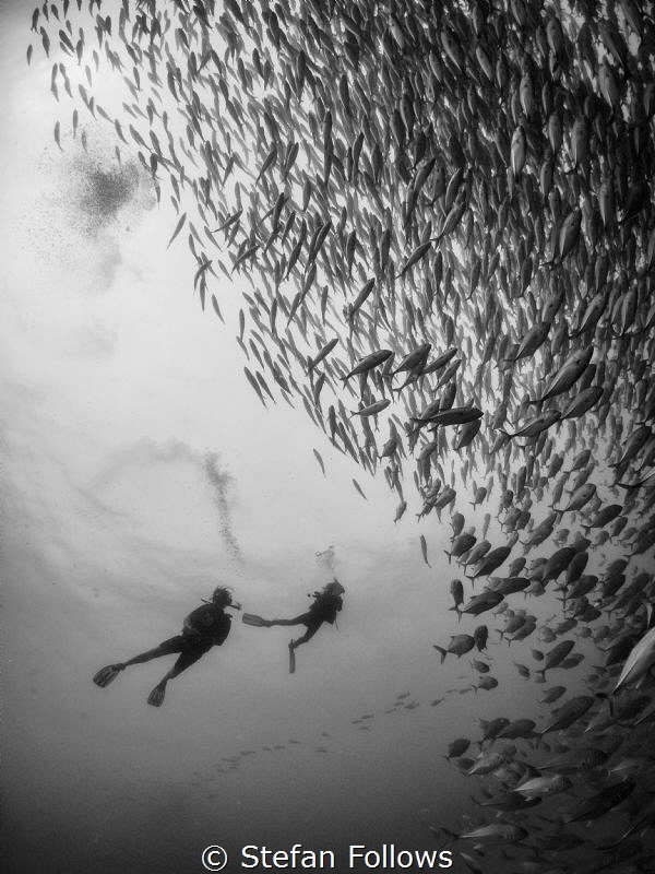"Dream in a pragmatic way." Aldous Huxley. Sail Rock, Tha... by Stefan Follows 