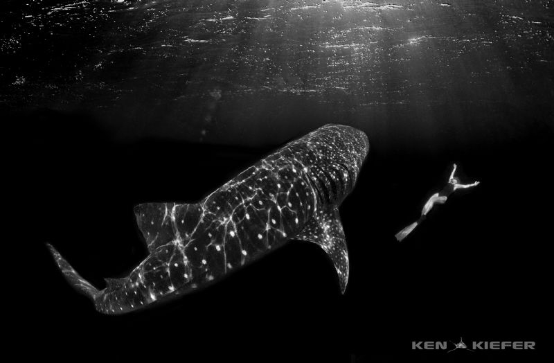 “Darkness cannot drive out darkness: only light can do th... by Ken Kiefer 