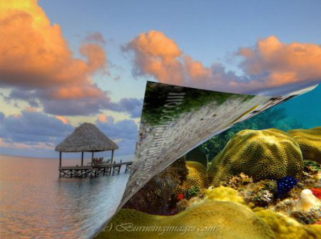 View above and below the sea by Douglas Burne 