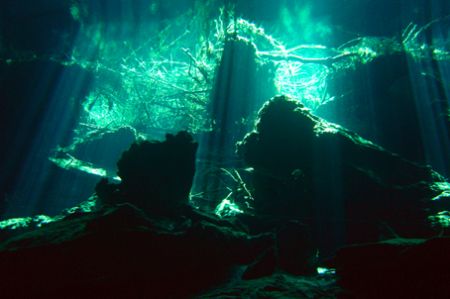 sun light in the cenote Chac Mool by Alessandro Reato 