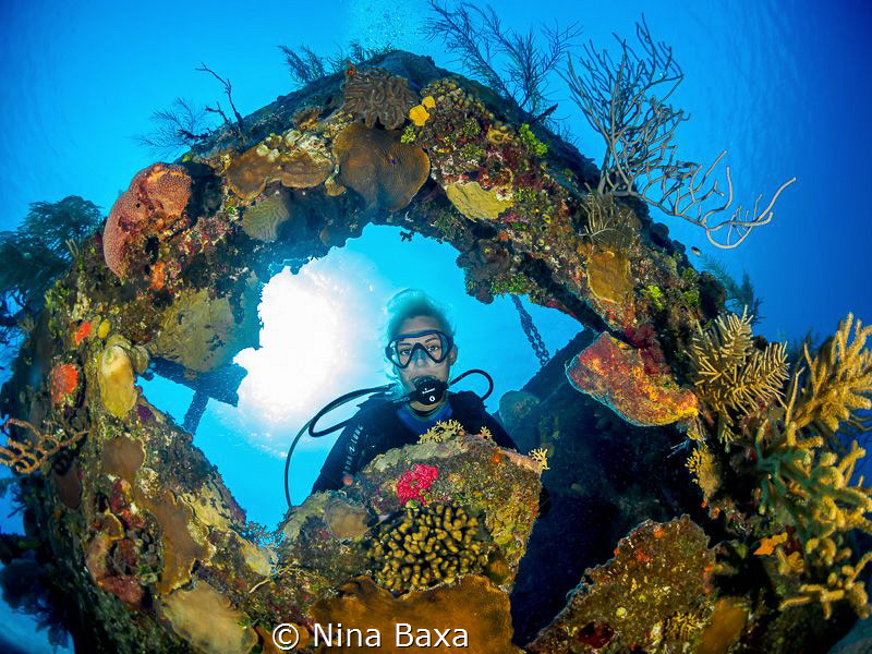Framed. by Nina Baxa 