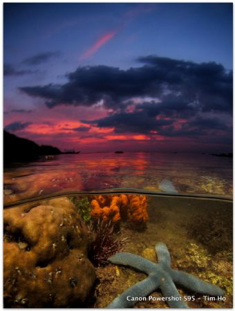 Ankle deep :) by Tim Ho 