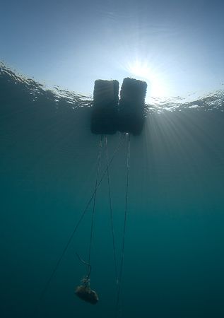 Bouys,Capernwray 10.5mm. by Derek Haslam 