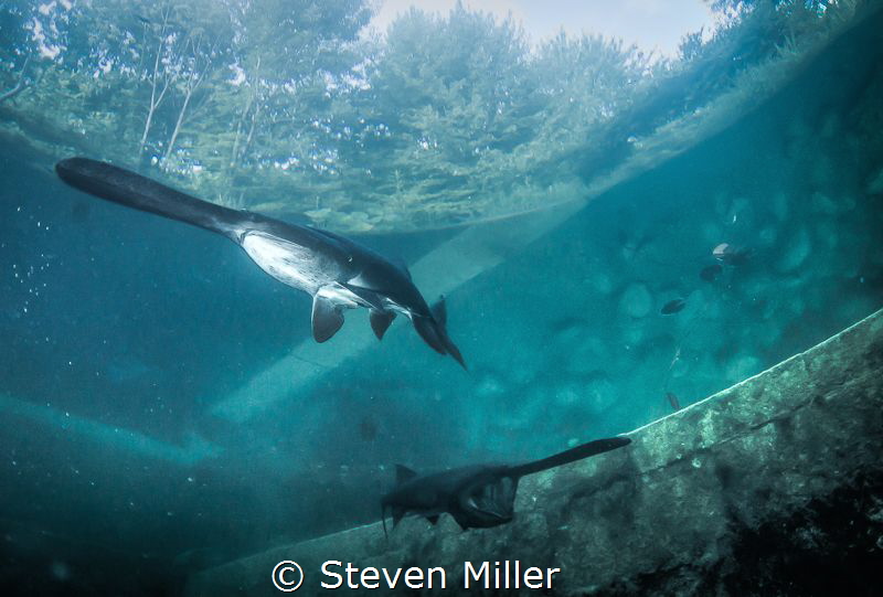 Last session before the ice by Steven Miller 