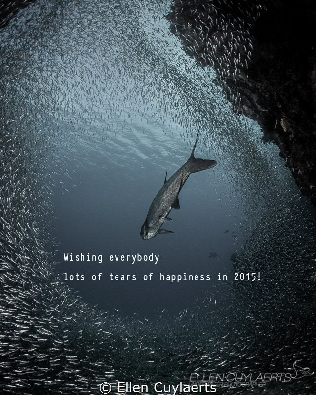 Wishing everybody lots of tears of happiness in 2015! by Ellen Cuylaerts 