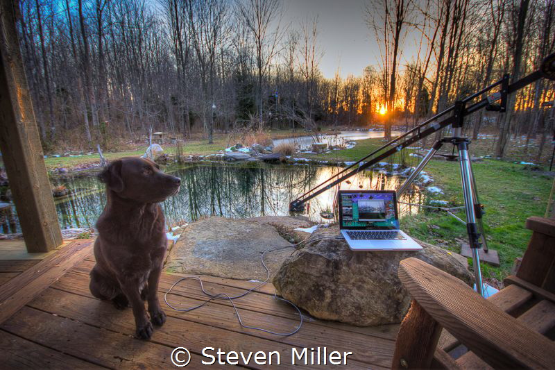 Backyard underwater photo studio. Tethered shooting with ... by Steven Miller 