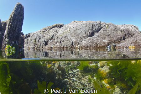 The tidal pool by Peet J Van Eeden 