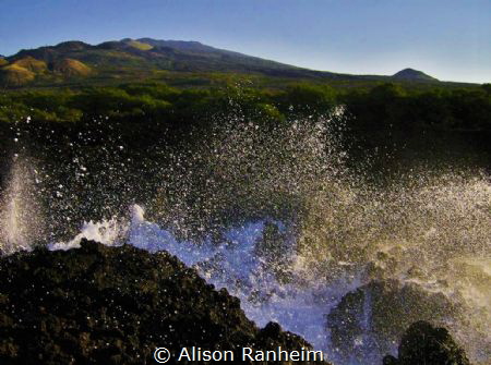"Hawaiian Punch!" by Alison Ranheim 
