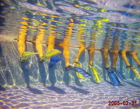 Fin Initiation. Just neat to look at. by Thierry Tremblay 