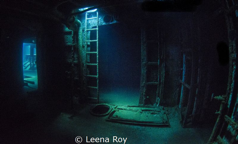 Inside the Kittiwake by Leena Roy 