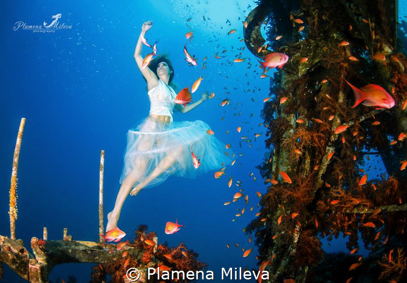 Dancing with the fishes by Plamena Mileva 