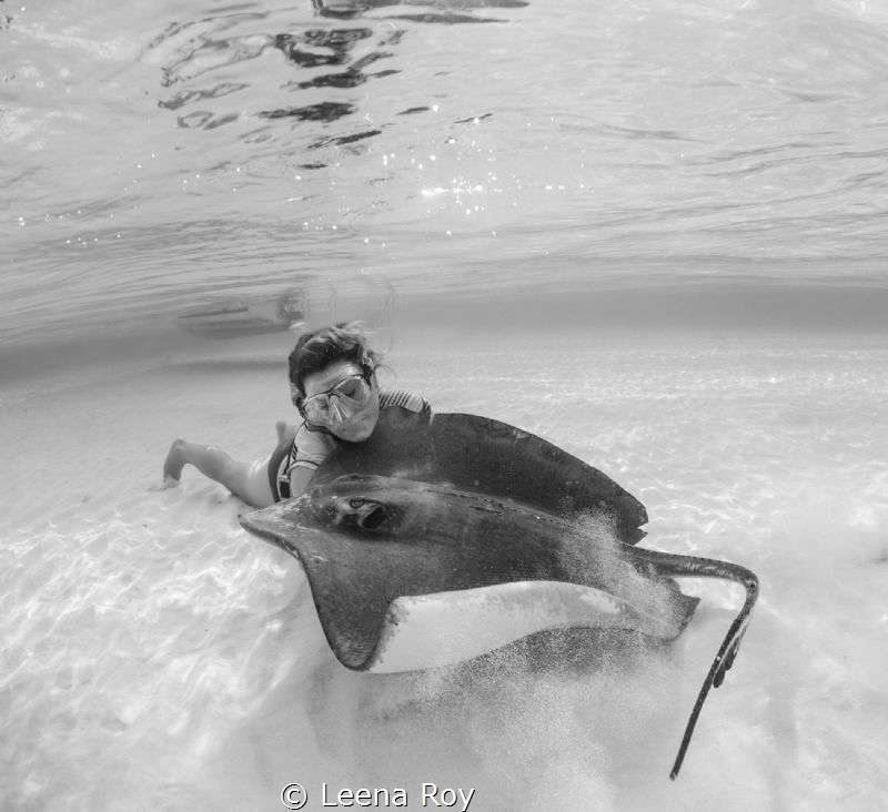 Hug a stingray by Leena Roy 