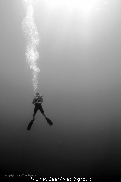 Diver on deco Mauritius
Linley Jean-Yves Bignoux/Canon 7... by Linley Jean-Yves Bignoux 