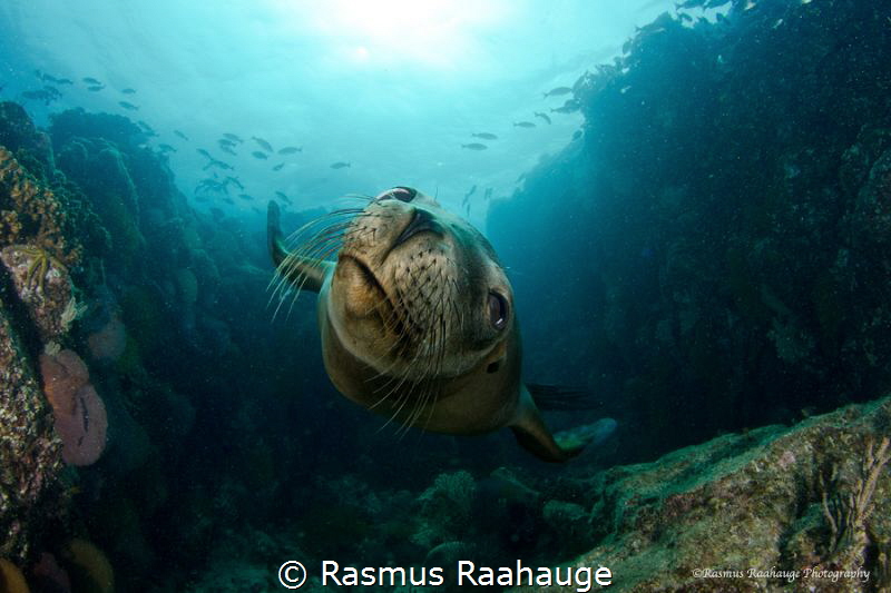 Hello youuuuu...... by Rasmus Raahauge 