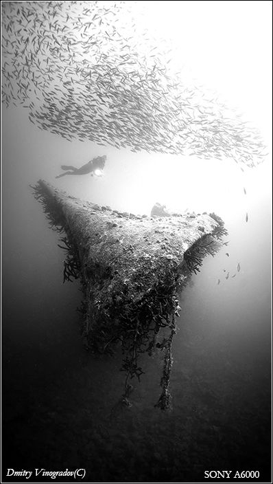 Geometry
Red Sea. Egypt. El Mina wreck. 30 meters deep. ... by Dmitry Vinogradov 