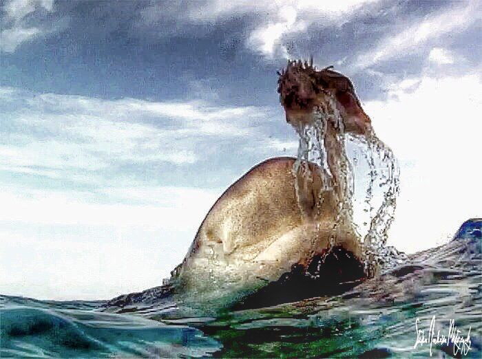 Never a dull morning with Lemon Sharks at Tiger Beach by Steven Anderson 