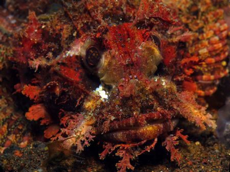 "u cant see me" by Satria Wijaya 