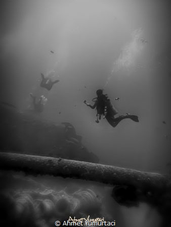 thistlegorm by Ahmet Yumurtacı 