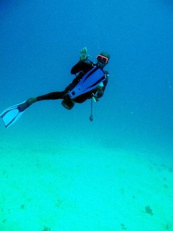Under water guided tour - "I lost the reef". Not cropped ... by Steve Laycock 