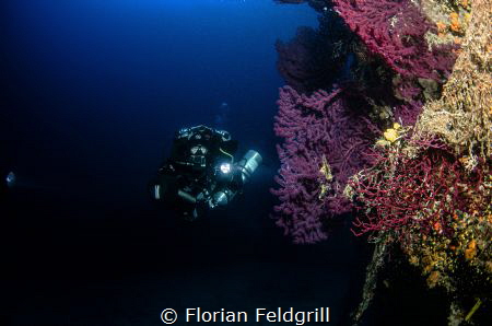 Deep Model in a wall with red gorgonia in Trogir croatia by Florian Feldgrill 
