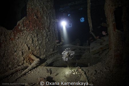 Inside the wreck Thistlegorm. by Oxana Kamenskaya 