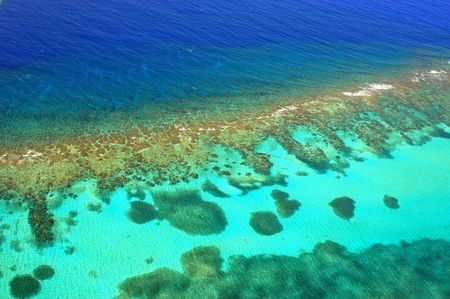 Roatan, Honduras. by Shawn Jackson 