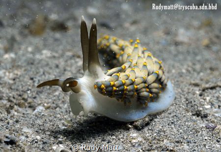 nudis of survivor island.
Nikon D300 with Nexus Housing.... by Rudy Matt 