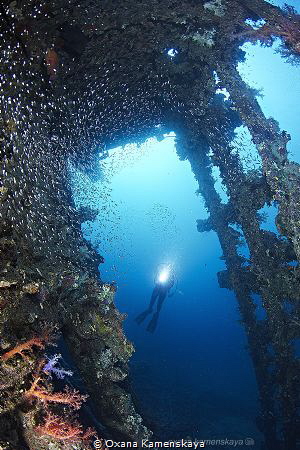 Inside the Wreck SS Carnatic by Oxana Kamenskaya 