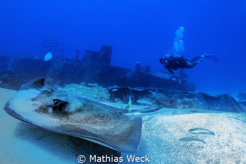 Mexico - Isla Mujeres - Canonero 55 Wreck by Mathias Weck 
