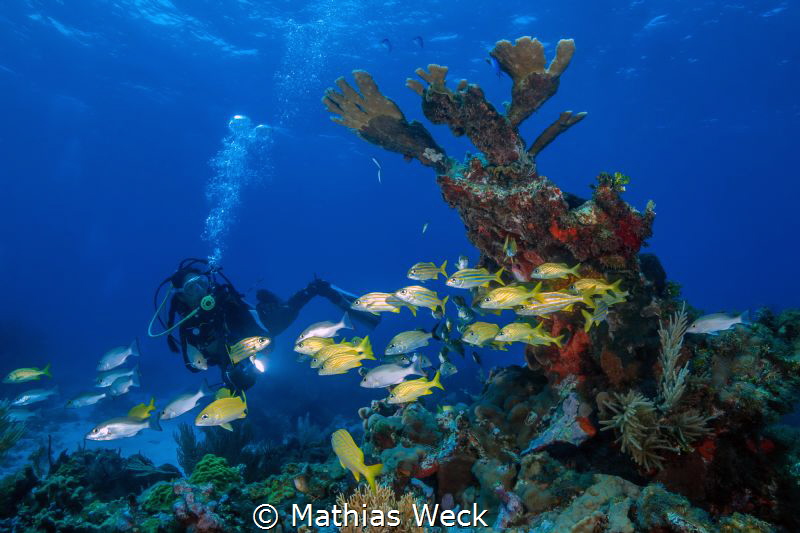 Mexico - Isla Mujeres - Reef by Mathias Weck 