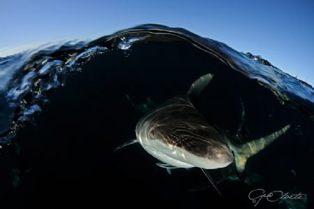 ~ Window of Hope ~ by Geo Cloete 