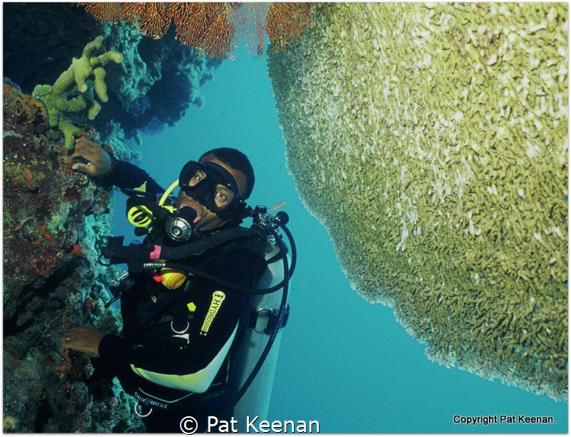Having a break from shark diving (only for a day). Image ... by Pat Keenan 